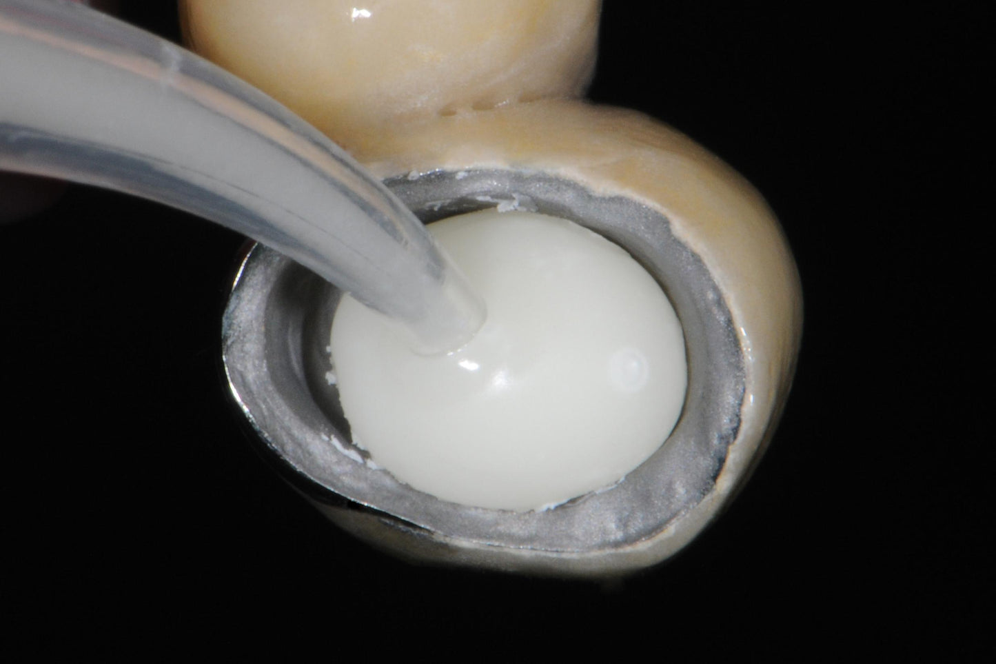 GC Fuji Plus CAPSULE ™